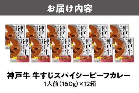 【 京阪百貨店厳選 】神戸牛すじスパイスカレー160ｇ×12食セット カレー_OS048-0070