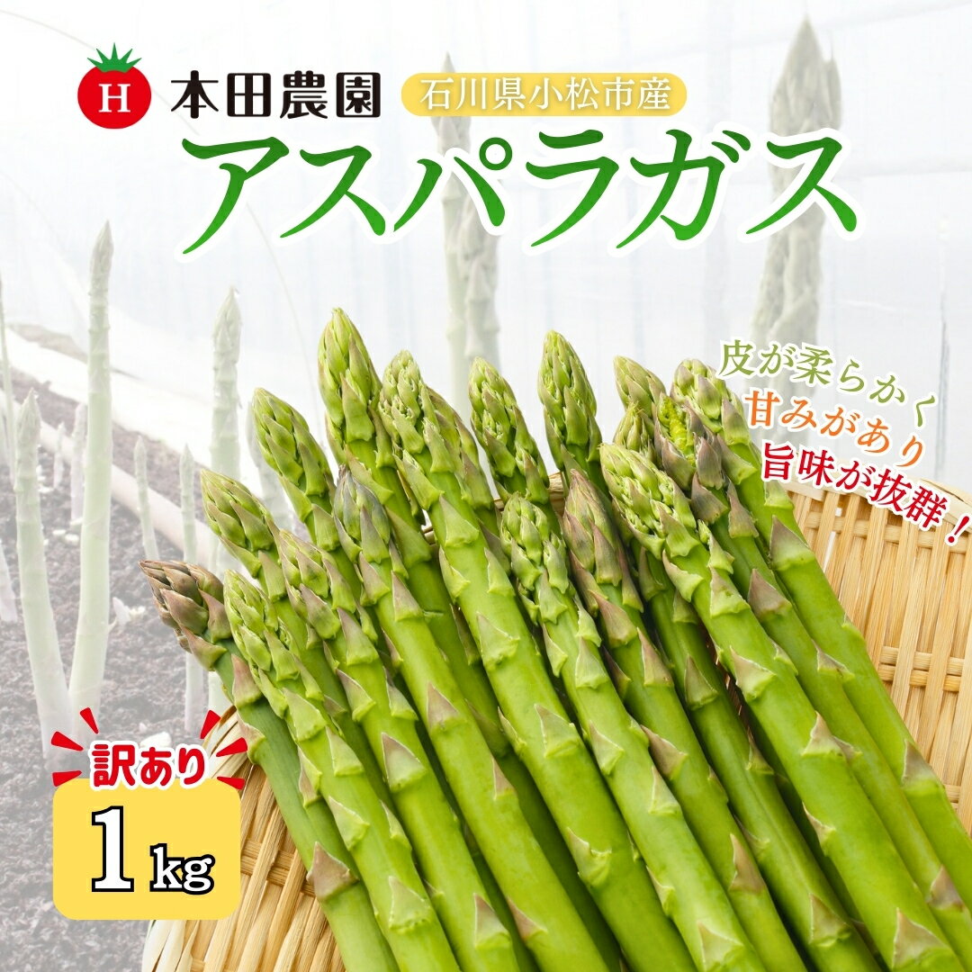【ふるさと納税】【先行予約】アスパラガス 1kg（訳アリ） 本田農園 野菜 訳あり ギフト アスパラ 石川県 小松市 010288【本田農園】