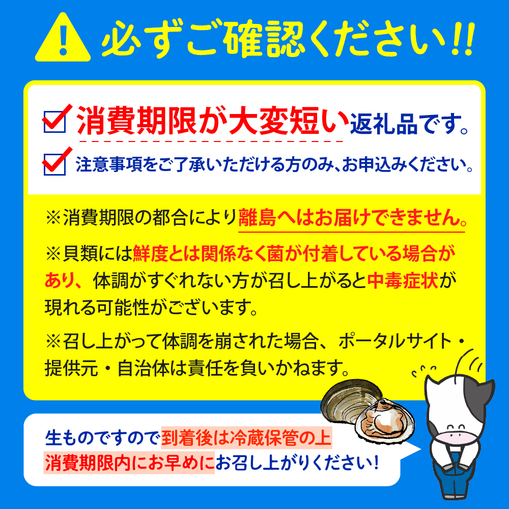 【数量限定】 獲れたて直送 ホッキ貝 約2kg tt007-003 約2kg（約9～12個）