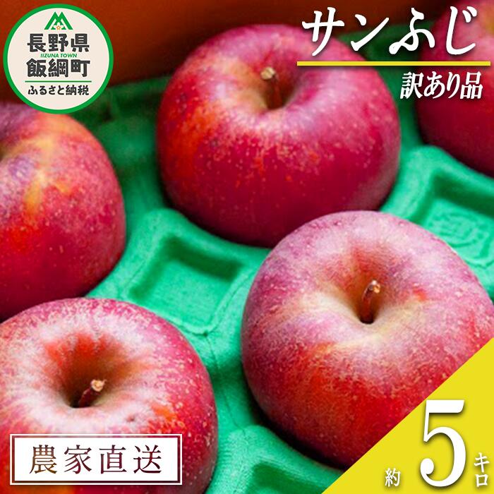 【ふるさと納税】 りんご サンふじ 訳あり 5kg ファームたんぽぽ 沖縄県への配送不可 令和7年度収穫分 長野県 飯綱町 〔 傷 不揃い わけあり リンゴ 林檎 果物 フルーツ 信州 長野 11000円 予約 農家直送 〕発送時期：2025年12月上旬〜2025年12月下旬{*}