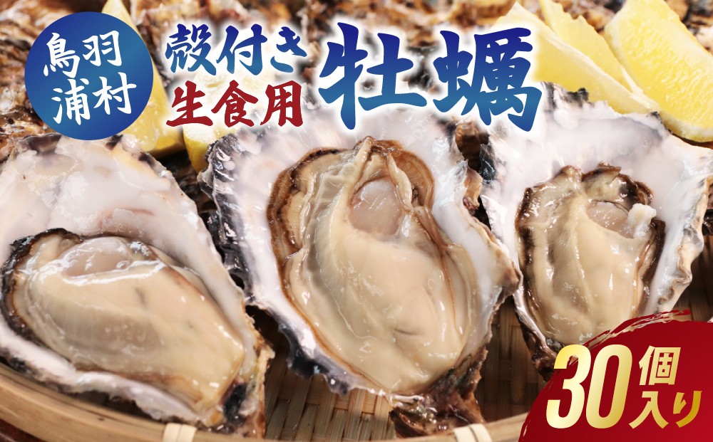
                  【先行予約／2026年12月より順次発送】18-18 生食用浦村牡蠣30個入りセット
                
