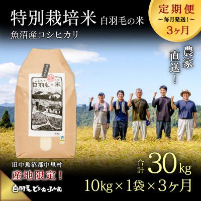 ふるさと納税 十日町市 【毎月定期便】農家直送!魚沼産コシヒカリ特別栽培 精米(10kg×1袋)全3回