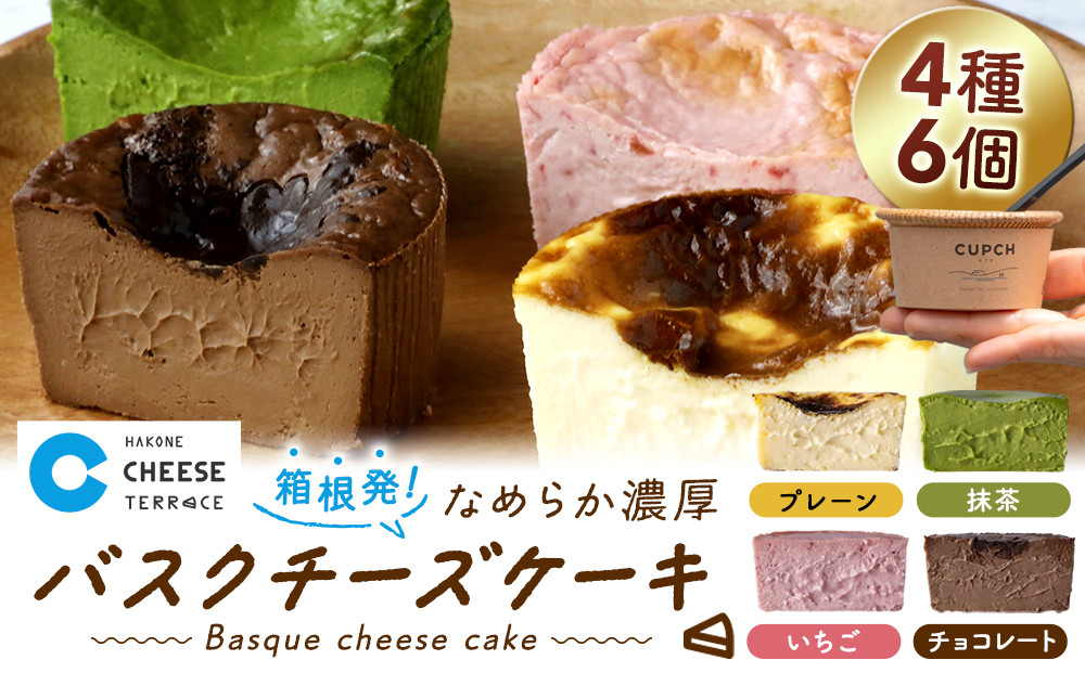 箱根発！なめらか濃厚バスクチーズケーキ 箱根チーズテラス・カプチ 【定番6個セット】 142069_JF001