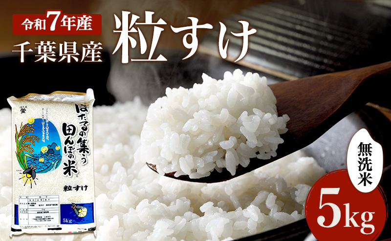 無洗米 粒すけ 5kg 米 精米 白米 お米 おこめ コメ 単一原料米 新品種 お米マイスター  ご飯 千葉市
