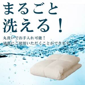 洗える羽毛布団 合い掛け布団(ダブル)日本製  洗濯できる 防ダニ 春秋冬【甲州羽毛ふとん】【1502590】