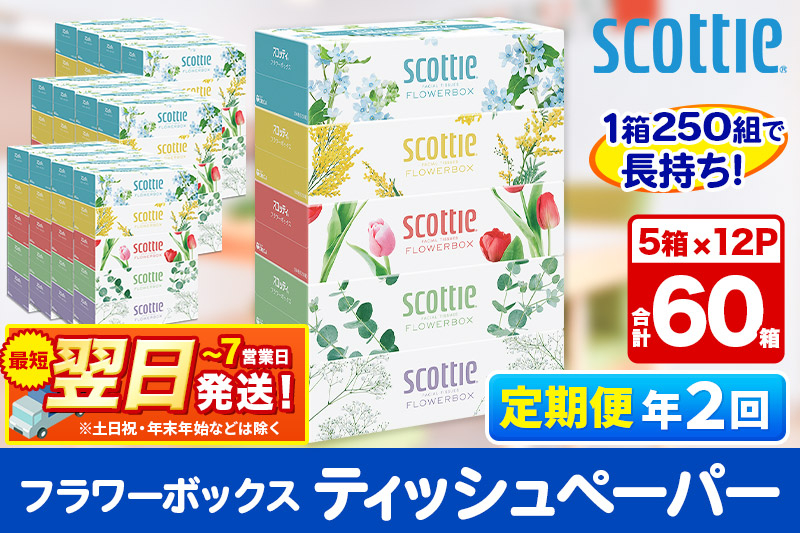
            《6ヶ月ごとに2回お届け》定期便 ティッシュペーパー スコッティ フラワーボックス250組 60箱(5箱×12パック) ティッシュ 【レビューキャンペーン中】
          