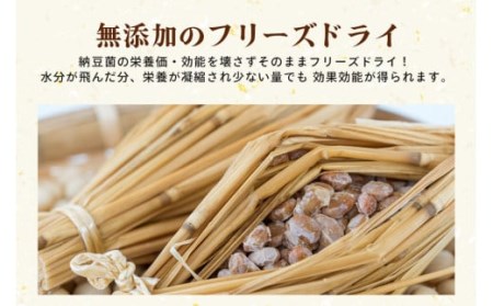 どらい納豆詰合わせセット 10種 納豆 詰め合わせ ドライ納豆 乾燥納豆 干し納豆 ダイエット ギフト 納豆ふりかけ 国産 おつまみ おやつ お菓子 おかし スナック 腸活 タンパク質 たんぱく質 小