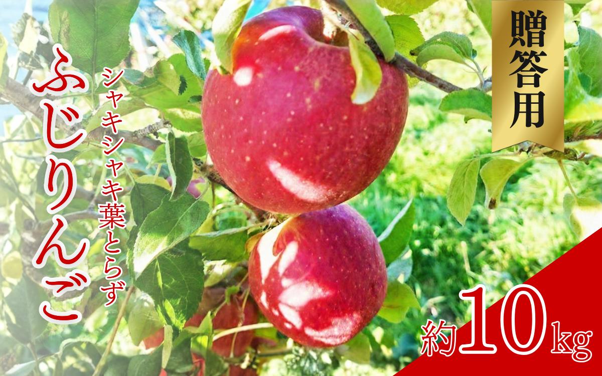 
                  【2026年産】 シャキシャキ葉とらず ふじりんご 約10kg 特別栽培農産物 長野県産 りんご リンゴ フルーツ 果物 おやつ デザート 信州 上田 贈答用 [№5312-1523]
                