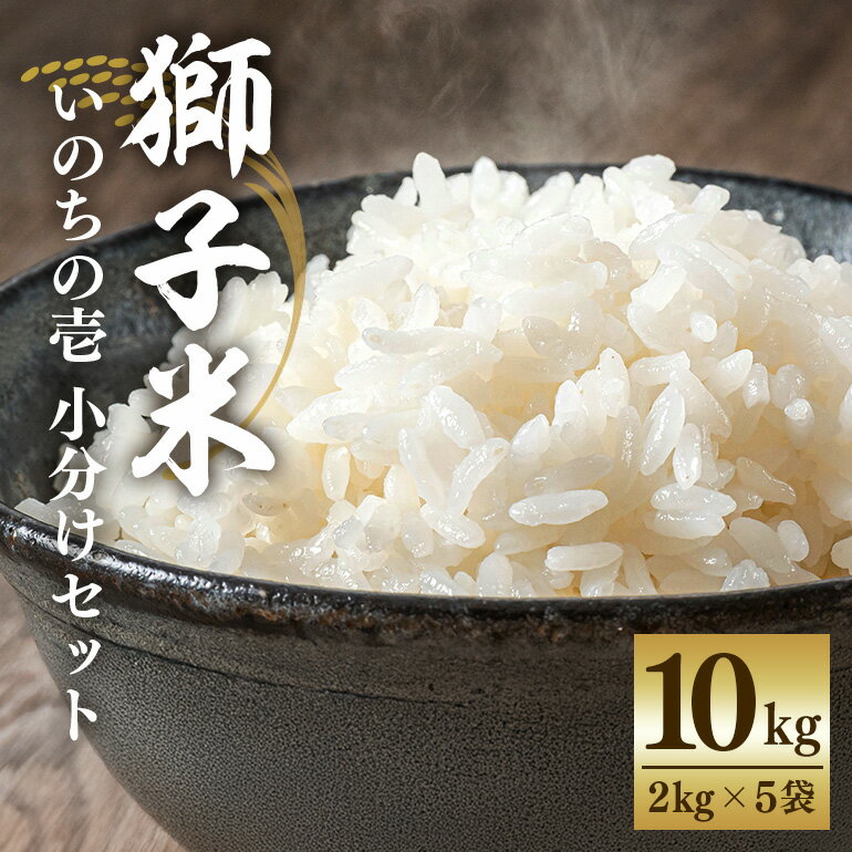 【ふるさと納税】 獅子米 いのちの壱 小分け セット 10kg （2kg×5袋） 米 お米 精米 白米 ご飯 ごはん 産地直送 国産 茨城県 石岡市 B02-087