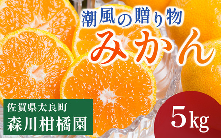 潮風の贈り物　みかん ５kg　みかん ミカン 蜜柑 たらみかん 太良みかん 温州みかん 完熟みかん 甘熟 柑橘 国産 佐賀県産 太良町 こだわり 有機栽培 産地直送 贈答品 詰め合わせ 極甘 L19x1 【2026年10月下旬～2027年1月上旬迄発送予定】