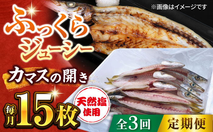 
            【全3回定期便】漁師町佐島 カマスの開き 15枚セット 干物 横須賀  国産 魚 大人気 定期 冷凍【石川水産】 [AKCX007]
          