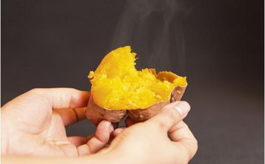 【2025年産  初物 8月下旬～発送】種子島・安納 地域 産 安納いも（生芋）M 5ｋｇ　NFN171 【300pt】// 早掘り 安納芋発祥の地 安納地域 本場 安納芋 