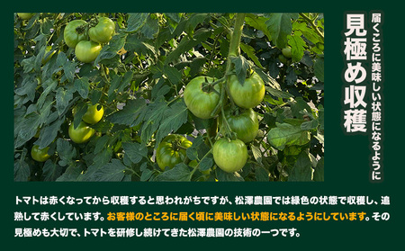 大玉トマト 2kg 9-12玉   松澤農園  岩手県九戸村