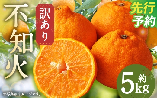 訳あり ご家庭用 長崎県時津町産 不知火 約5kg【2027年3月下旬～5月上旬発送開始予定】 柑橘 フルーツ 果物
