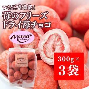 苺のフリーズドライ苺チョコ900g 300gx3袋 4月～10月発送 チョコレート チョコ スイーツ お菓子 おかし いちご ホワイトチョコ イチゴ パウダー ギフト プレゼント 兵庫県 伊丹市