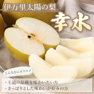 【令和6年産先行予約】伊万里梨 「幸水」 約5kg ご自宅用におすすめ B160