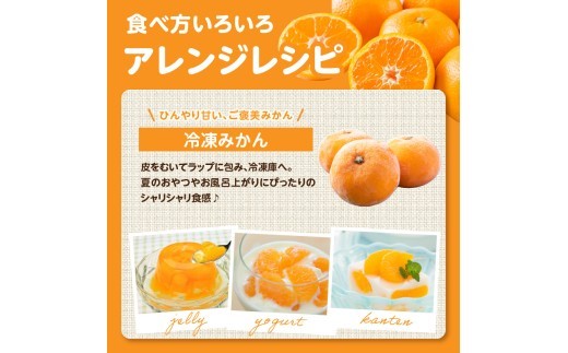 食べ方いろいろ アレンジレシピ