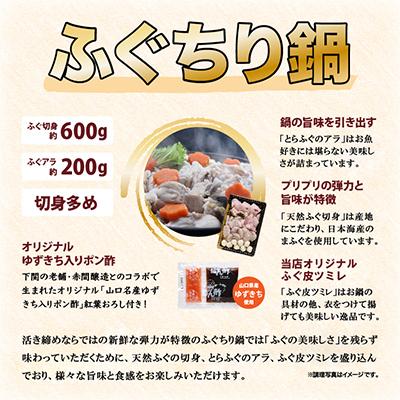 ふるさと納税 長門市 天然ふぐ唐揚げ付き天然ふぐ鍋とらふぐ刺身セット4-5人前 |  | 02
