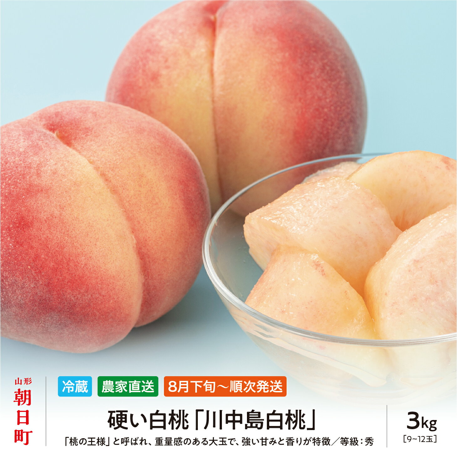 【ふるさと納税】 白桃 川中島 3kg 9～12個 秀品 農家直送 山形県 朝日町産 山形産 もも モモ 桃 ピーチ 果物 フルーツ 夏 送料無料 糖度 クール便 冷蔵便 予約 先行予約