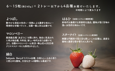 【2026年先行予約】いちご 厳選 4品種食べくらべ 約480g (約240g×2トレー) K2630