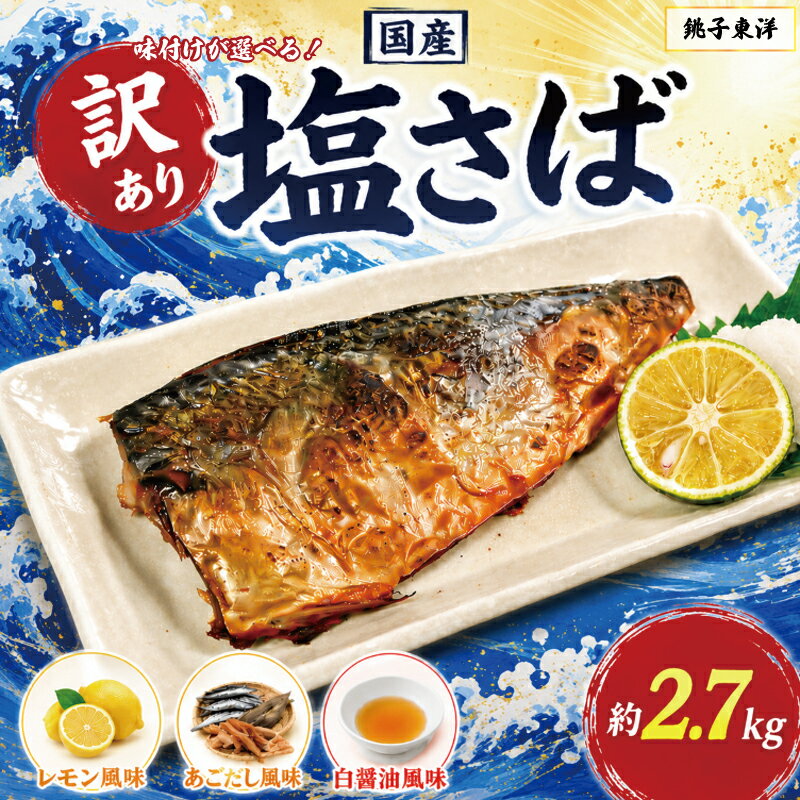 【ふるさと納税】 訳あり 国産 塩さば 約2.7kg 【味付けが選べる！】 あごだし風味 レモン風味 白醤油風味 鯖 さば 塩鯖 フィーレ フィレ 国内産 味付 人気 冷凍 おかず 大容量 不揃い 規格外 訳アリ 訳 グルメ ふるさと納税 ふるさと納税鯖 送料無料 千葉県 銚子市 銚子東洋