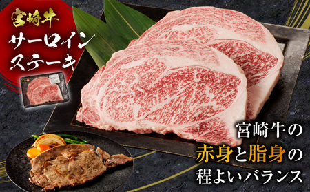 食べ比べシリーズ宮崎牛バラエティ定期便 肉 牛 牛肉 ミンチ サイコロステーキ サーロインステーキ