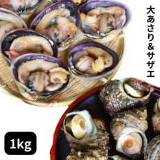 海鮮バーベキューセット1kg(大あさり500g&サザエ500g)大アサリ専用だし醤油付き