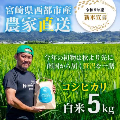ふるさと納税 西都市 【令和8年産新米・先行受付】こしひかり 5kg　※8月上旬以降順次発送予定　精米済み [3217]