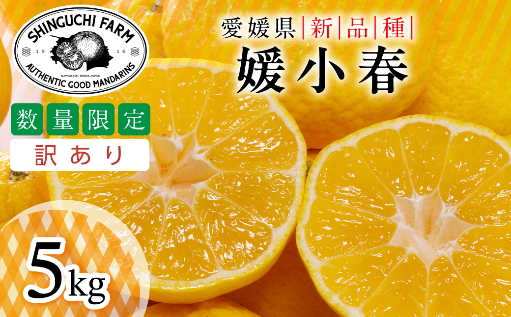 【先行受付】2027年発送!五代目が厳選した【訳あり】媛小春 5kg【D70-163】【1710484】 YWTK162