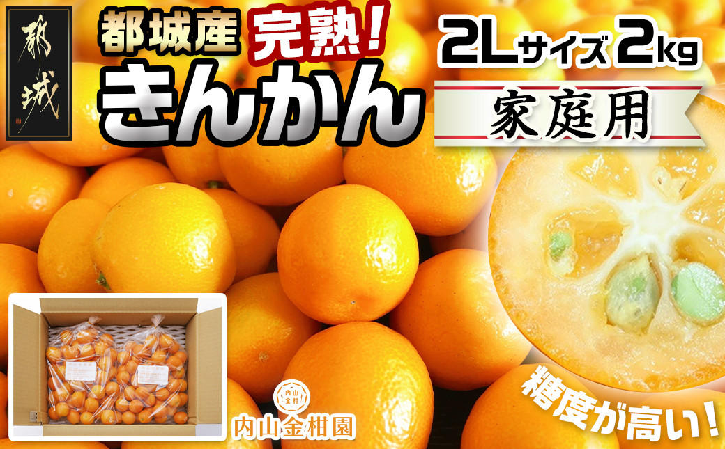 
            【先行受付！】【2月～3月お届け】都城産完熟きんかん 家庭用2kg (2Lサイズ)_13-B501_(都城市) 都城産 完熟きんかん きんかん 2Lサイズ 約2kg 柑橘類 2月～3月お届け 家庭用
          