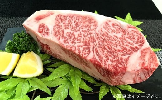 
                  500g【佐賀牛】ロースブロック（タタキ・ローストビーフ・焼肉等） D-609
                