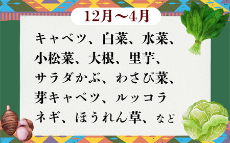 野菜 無農薬 農園自慢の情熱野菜セット 7品 【 3ヶ月 連続 お届け 】