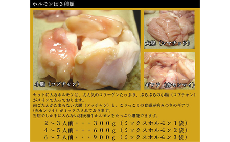 もつ鍋セット羽後和牛しょうゆ味もつ鍋セット【6〜7人前】