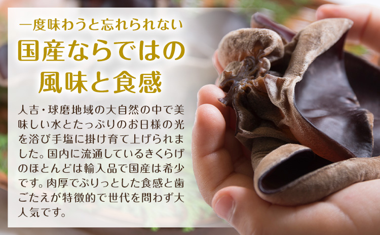 乾燥きくらげ 100g 鷹乃産業有限会社 《30日以内に出荷予定(土日祝除く)》熊本県 球磨郡 山江村 きくらげ きのこ 野菜---sy_takaksk_30d_25_10500_100g---