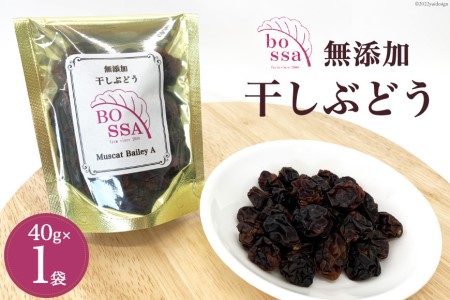 干しぶどう ボッサの干しぶどう マスカットベーリーA 無添加 干しぶどう【40g×1袋】