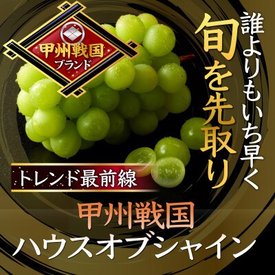 【今逃せば1年待ち】最高糖度20度オーバー贈答用甲州戦国ハウスオブシャイン2026年6月下旬より発送【配送不可地域：離島】