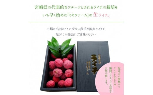 ＜宮崎県産 生ライチ 1kg＞