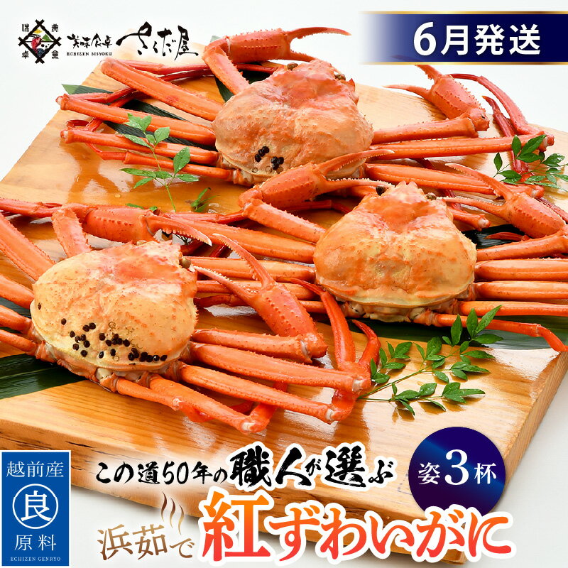 【ふるさと納税】≪浜茹で≫紅ずわいがに × 3杯 この道50年の職人が選びました！【紅ズワイガニ 紅ずわい蟹 かに カニ 蟹 姿 ボイル 冷蔵 福井県】【6月発送分】希望日指定可 備考欄に希望日をご記入ください [e04-x014_06]