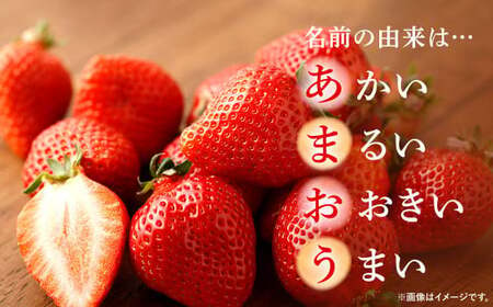 うるう農園 デラックス あまおう 2パック（約570g）【2025年1月下旬～2025年3月下旬順次発送予定】いちご イチゴ 苺 フルーツ 果物 福岡県産