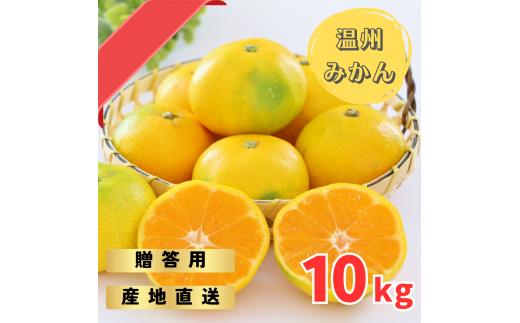 【先行予約】ゆら早生みかん 贈答用 秀品 10kg（2S~2L）【2025年10月上旬から10月下旬までに順次発送】 / みかん 蜜柑 柑橘 果物 フルーツ 早生 秀品 贈答【tmf005】