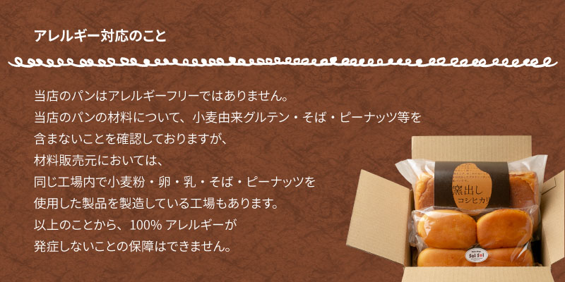 グルテンフリー 米粉食パン 窯出しコシヒカリ 3本　H083-018