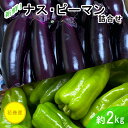 【ふるさと納税】新鮮野菜 ナス・ピーマン詰合せ 約2kgセット 花巻産 新着