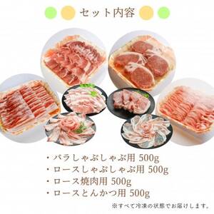 【ブランド豚】柔らかジューシーな肉質!「和豚もちぶた」4種セット　2kg【配送不可地域：離島】【1497925】