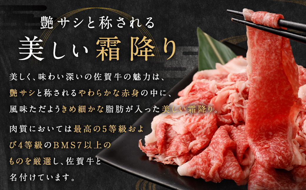 訳あり 佐賀牛 切り落とし 500g