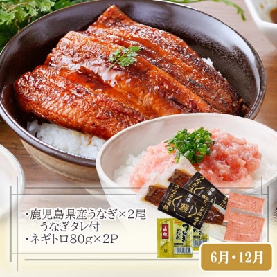 定期便3回配送　黒毛和牛・黒豚＆うなぎ DD5−0001【配送不可地域：離島】【1573840】