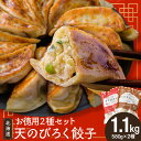 【ふるさと納税】 天のびろく 餃子 お徳用 2種 セット（580g×2） 徳用 冷凍 北海道 千歳 食べ比べ 加工品 惣菜 冷凍 ぎょうざ ギョーザ 【北海道千歳市】ギフト ふるさと納税