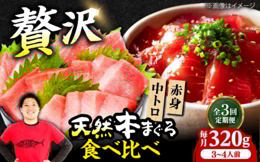 【全3回定期便】極上！たね熟天然本まぐろ赤身＆中トロセット(320g 各160g) 天然 マグロ 鮪 中トロ 刺身 魚 赤身 魚介類 海鮮丼 本マグロ 本まぐろ 中トロ 大トロ 赤身 冷凍 お刺身 お寿司 大阪府高槻市/本まぐろ直売所 [AOCE040] 本マグロ 刺身 寿司 海鮮 旨み 切り身 鮮度抜群 海鮮丼 お取り寄せ 高級魚 ギフト 海の幸 家飲み ごちそう おつまみ お祝い パーティー