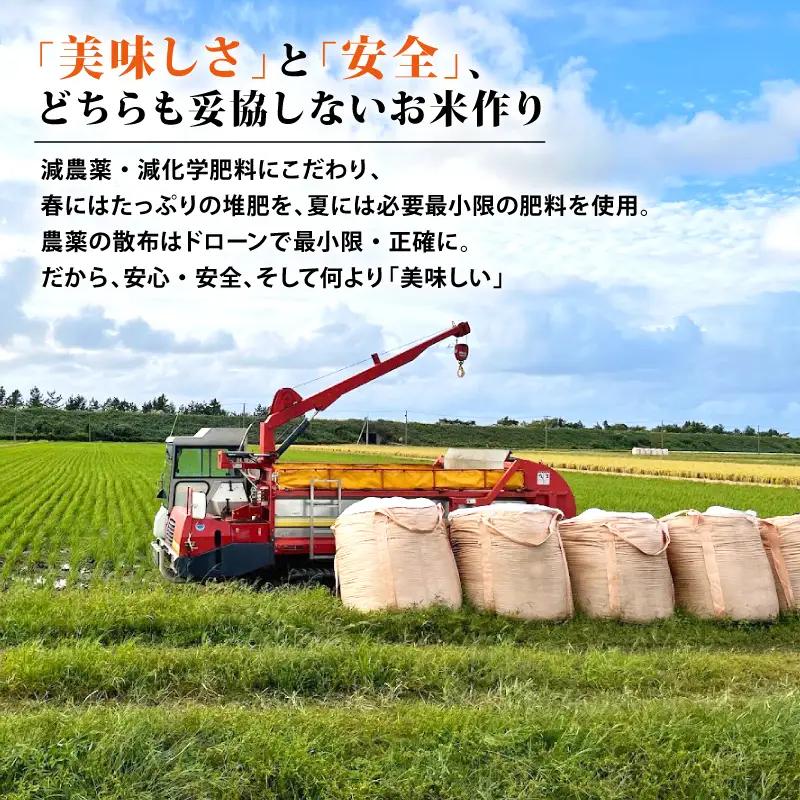 【令和8年産 先行予約】 コシヒカリ 10kg 5kg×2袋 5か月 定期便 新潟 コンテスト入賞米 5カ月 5回 特栽米 新潟県産コシヒカリ 新発田産 新潟 ふるさと納税 米 お米 アグリ中俵 新潟
