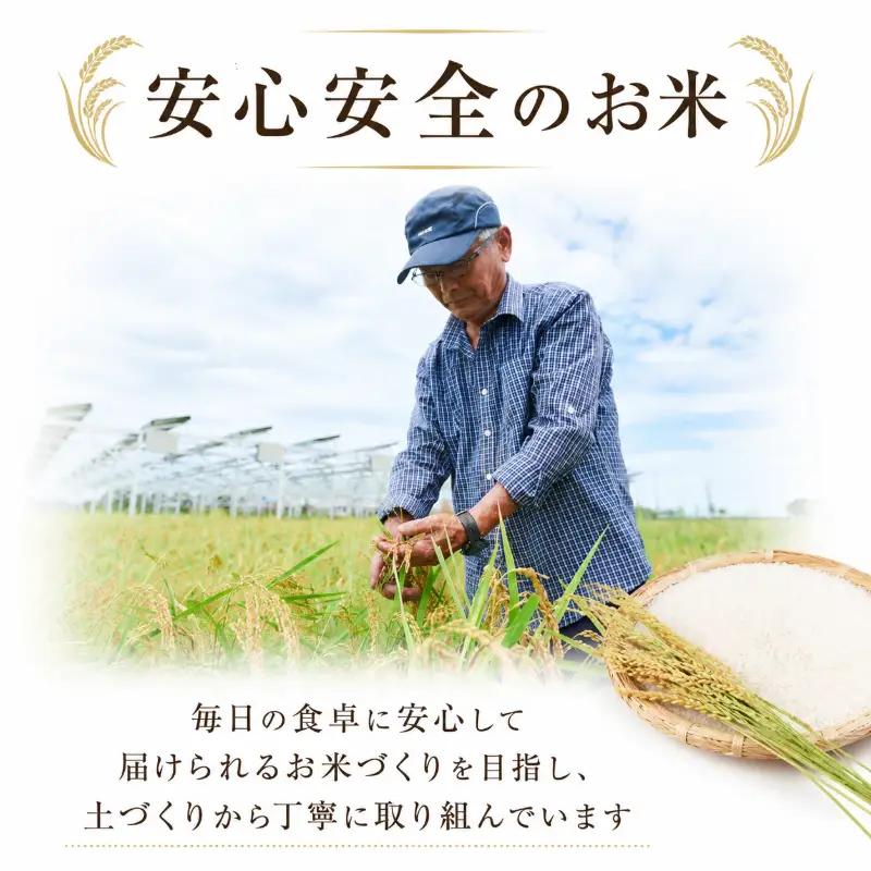 令和7年産 コシヒカリ 5kg 白米 米 数量 限定 こしひかり 5キロ 米5kg おにぎり