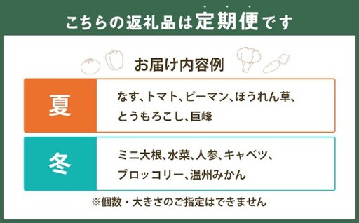 【6回定期便】 隔月コース 定番の野菜フルーツセット 6品目以上 ／ 配送 詰め合わせ 鮮度 季節 野菜 やさい 果物 くだもの 果実 フルーツ 定番 セット 定期便 定期